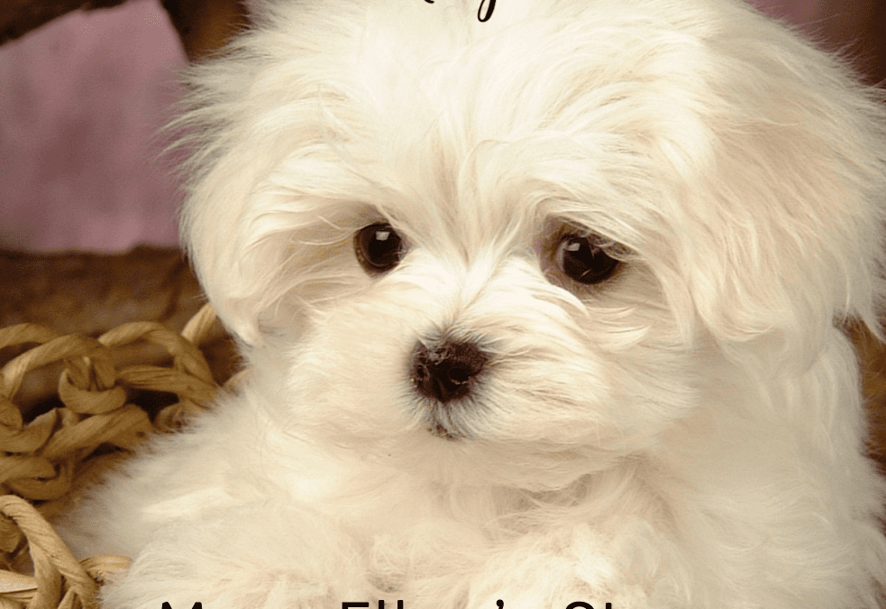 Mary Ellen’s Story