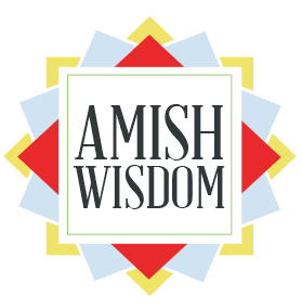 Amish Wisdom Guest Post: Cultivating Community