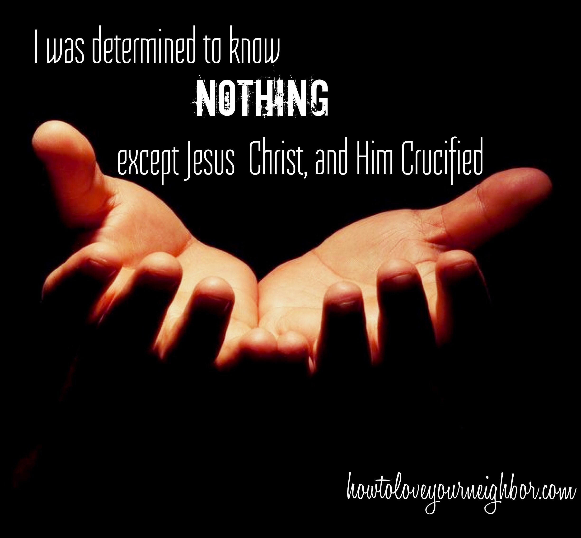 Determined To Know Nothing…