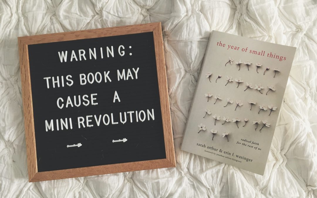 Books that Build Relationships: the year of small things