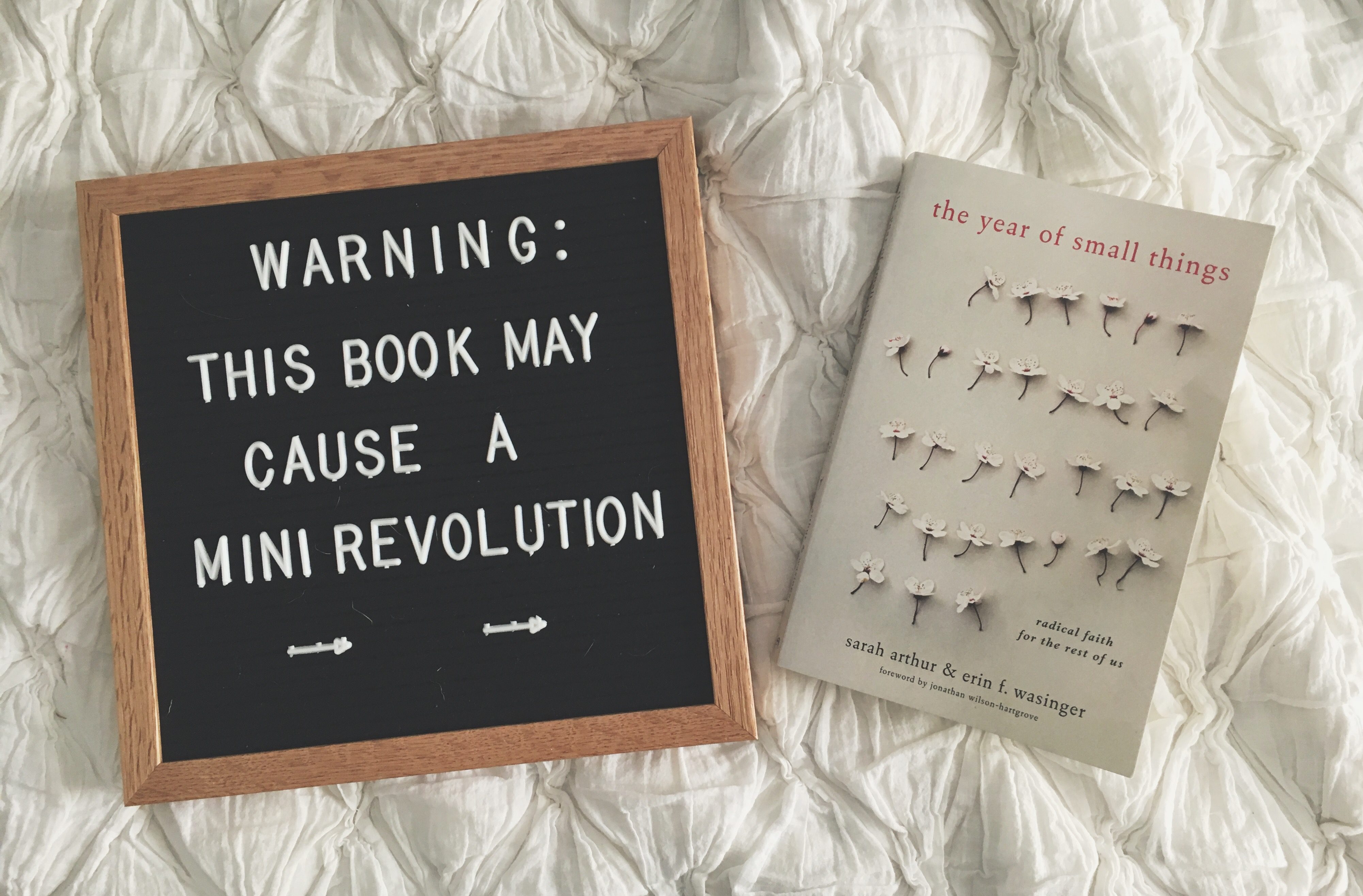 Books that Build Relationships: the year of small things