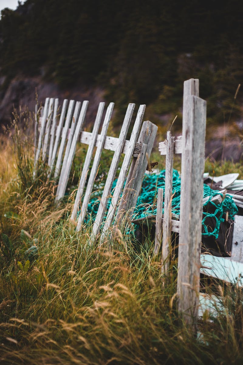 A rustic wooden fence stands amidst tall grass, symbolizing nature's reclamation, set in an outdoor landscape.