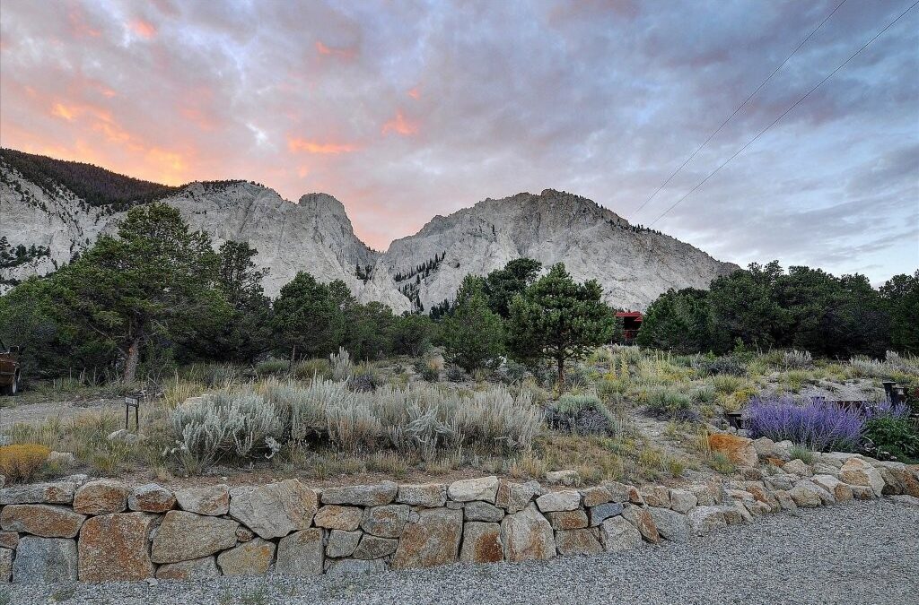 Psalm 121—When Moving Forward has Me Looking Back